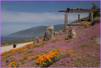Pacific Valley