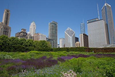 Chicago Skyline