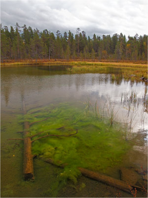 Green grave