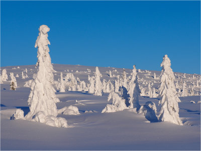 Snow statues