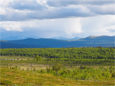 View from Murudalen I