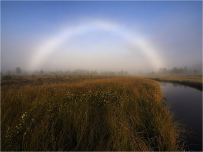 Fogbow