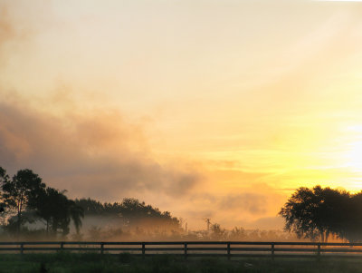Soft morning light