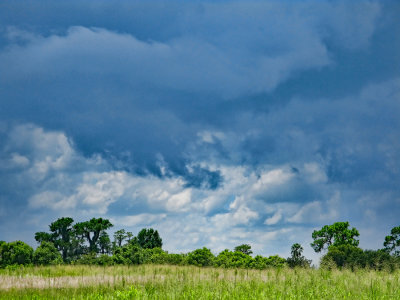 Light between the storms