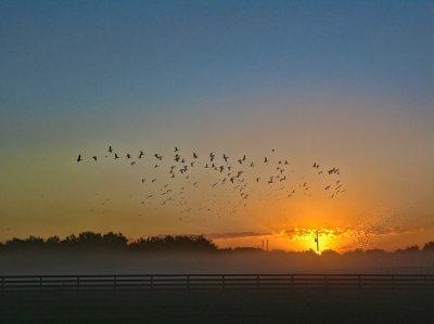 Early flight in