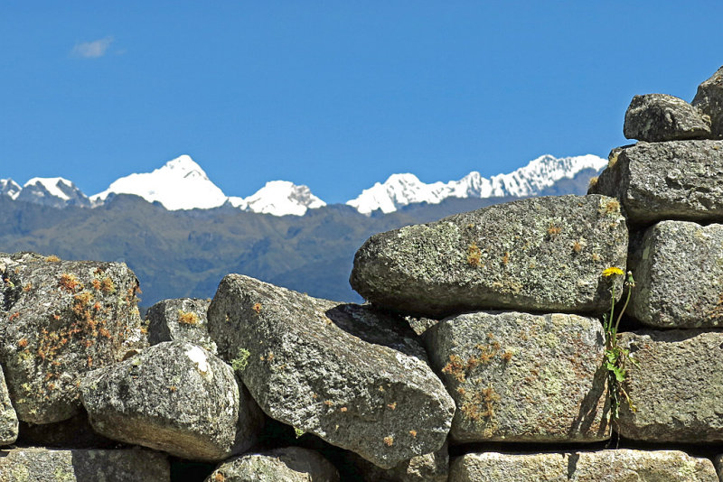 Machu Picchu_18.jpg