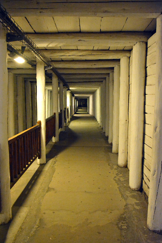53_Wieliczka Salt Mine.jpg