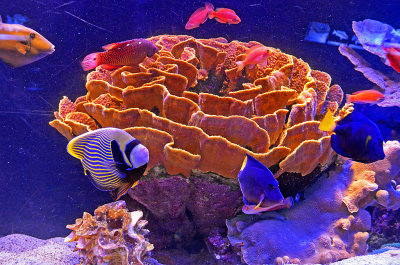 08_Aquarium.jpg