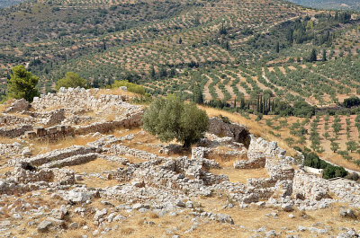 11_Mycenae Archaeological Site.jpg