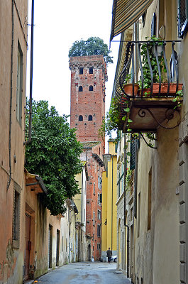 14_Guinigi Tower.jpg