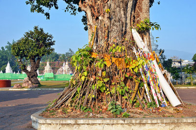 05_Wat Suan Dok Meditation Retreat.jpg