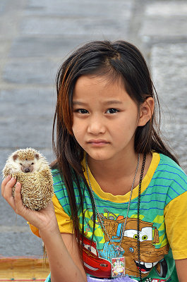 26_My pet is watching too.jpg