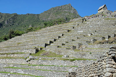 Machu Picchu_06.jpg