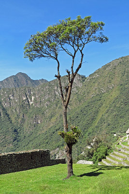 Machu Picchu_26.jpg