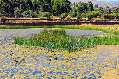 11_A pond in Raqchi.jpg