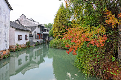 33_Fall colours in Wuzhen.jpg