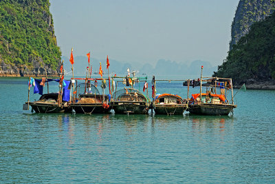 Halong Bay_15_A small fishing village.jpg