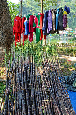 52_Sugar cane and clothes on sale together.jpg