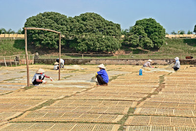 70_Drying rice noodles in the sun.jpg