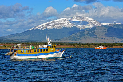 Puerto Natales and side trip