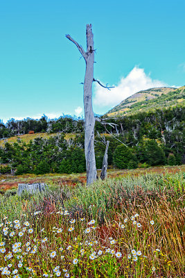 03_El Calafate Suburb.jpg