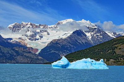 Glaciers Cruise_11.jpg