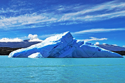 Glaciers Cruise_16.jpg