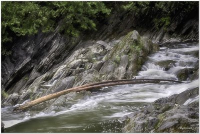 Les chutes Burrough - Burroughs Falls