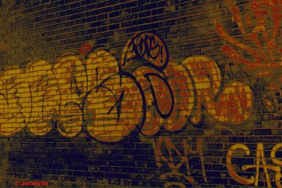 _DSC4937 Dd.jpg