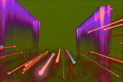 _DSC5568 DD.jpg