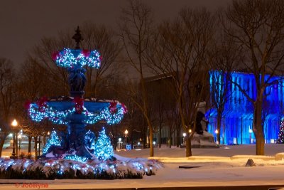 _DSC6350.jpg
