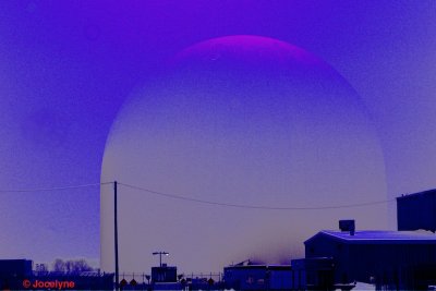 _DSC6574 DD.jpg