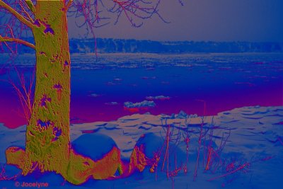 _DSC6585 BB.jpg