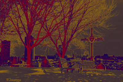 _DSC6792 Dd.jpg