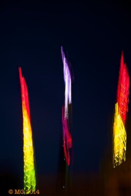 DSC_1438.jpg