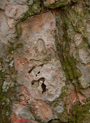 _DSC7722.jpg