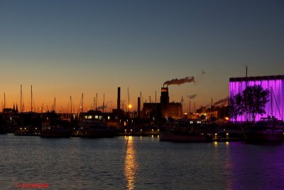 _DSC2920.jpg