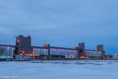 _NK88054.jpg