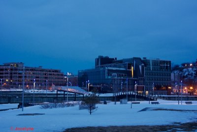 _DSC6690.jpg