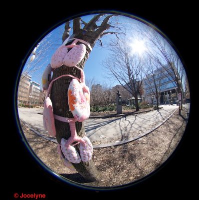 _DSC7684.jpg