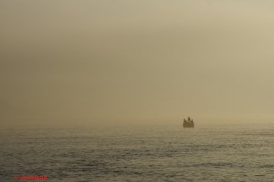 _DSC7768.jpg