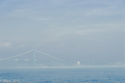 _NK88854.jpg