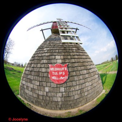 g9/00/892400/3/160154148.JA0bHnY4.jpg