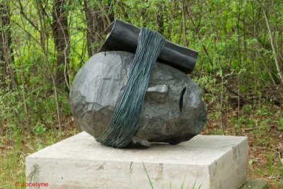 _DSC8068.jpg