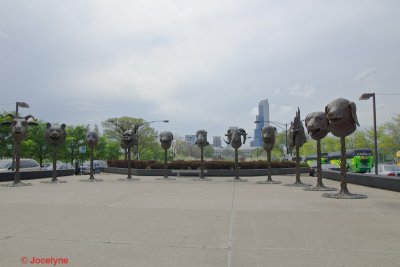 _DSC8105.jpg