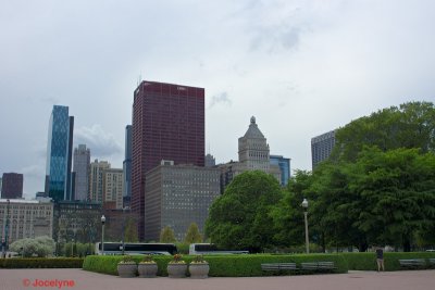 _DSC8118.jpg