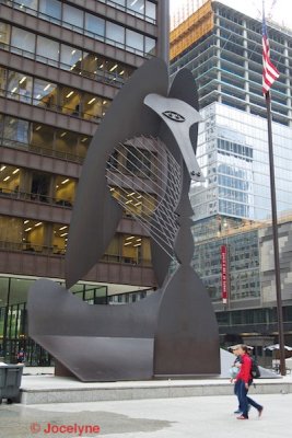 _DSC8142.jpg