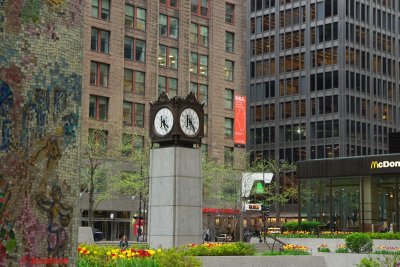 _DSC8148.jpg