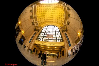 _DSC8206.jpg