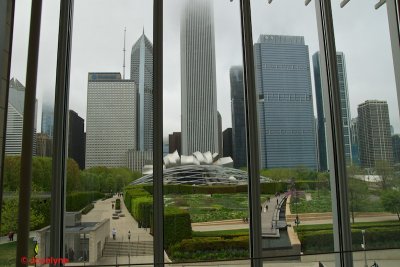 _DSC8370.jpg